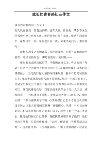 成长的青春路初三作文