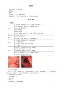 2020年全科主治专业实践能力讲义0401