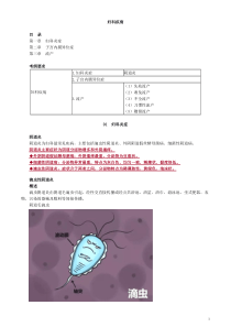 2020年全科主治专业实践能力讲义1001_2229