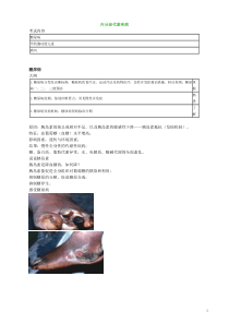 2021年全科主治专业知识讲义0801