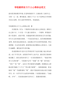 学校教师实习个人心得体会范文