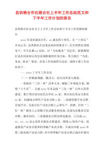 县供销合作社联合社上半年工作总结范文和下半年工作计划的报告