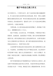 镜子中的自己高三作文