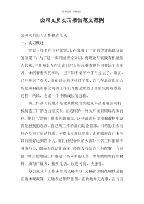 公司文员实习报告范文范例