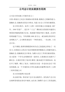 公司会计的实践报告范例