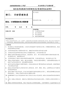 某信息科技集团计财管理体系分管高管岗位说明书