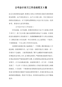 公司会计实习工作总结范文5篇