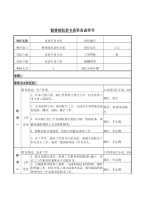 检修部仪表专责岗位说明书