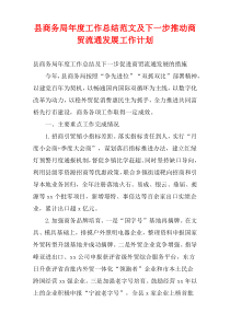 县商务局最新年度工作总结范文及下一步推动商贸流通发展工作计划