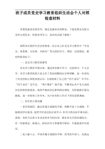 班子成员党史学习教育组织生活会个人对照检查材料