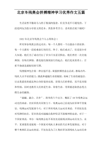 北京冬残奥会拼搏精神学习优秀作文五篇