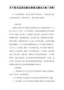 关于落实县委巡察反馈意见整改方案（详情）