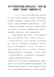 学习中青班讲话稿心得体会范文：用伟大建党精神“营养液”浇灌青春之花