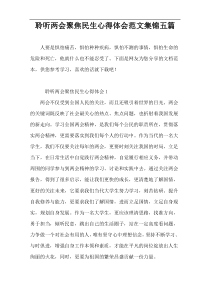 聆听两会聚焦民生心得体会范文集锦五篇