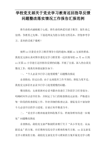 学校党支部关于党史学习教育巡回指导反馈问题整改落实情况工作报告汇报范例