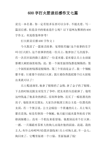 [600字]打火匣读后感作文七篇