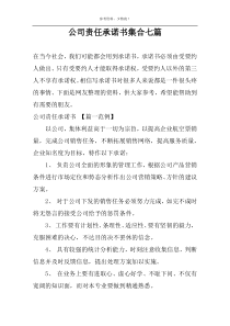 公司责任承诺书集合七篇