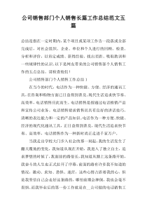 公司销售部门个人销售长篇工作总结范文五篇