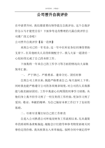 公司晋升自我评价