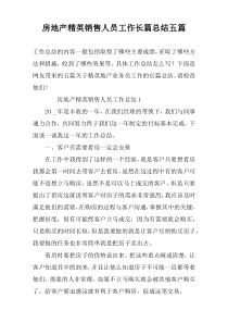 房地产精英销售人员工作长篇总结五篇