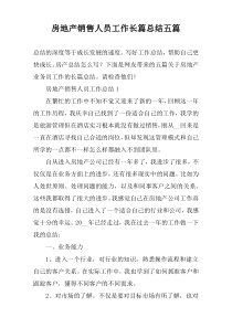 房地产销售人员工作长篇总结五篇