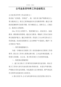 公司业务员年终工作总结范文