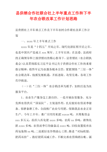 县供销合作社联合社上半年重点工作和下半年农合联改革工作计划思路