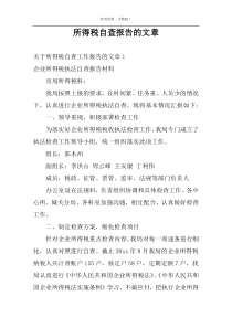 所得税自查报告的文章