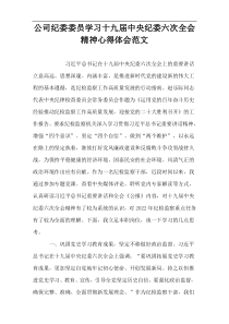 公司纪委委员学习十九届中央纪委六次全会精神心得体会范文