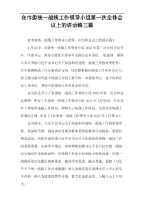 在市委统一战线工作领导小组第一次全体会议上的讲话稿三篇