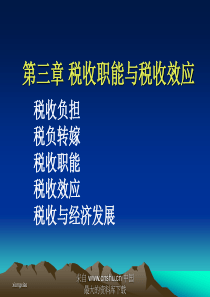 税收职能与税收效应(ppt 61)(1)