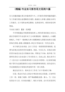 (精编)专业实习报告范文范例六篇