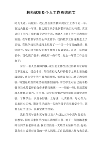 教师试用期个人工作总结范文