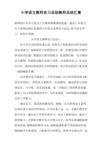 小学语文教师实习总结教师总结汇集