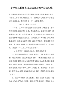 小学语文教师实习总结语文教学总结汇编