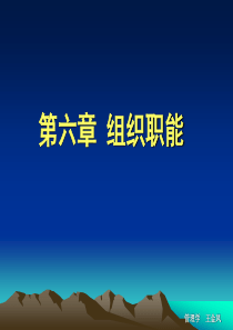 第六章 组织职能100219