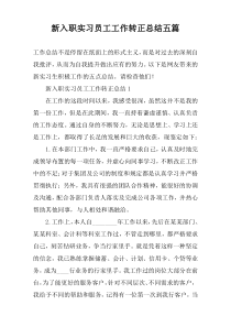 新入职实习员工工作转正总结五篇