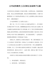 公司试用期员工正式转正总结例子五篇