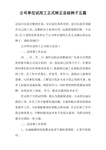 公司单位试用工正式转正总结例子五篇