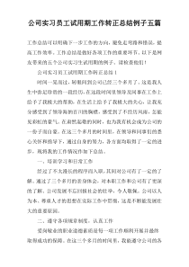 公司实习员工试用期工作转正总结例子五篇