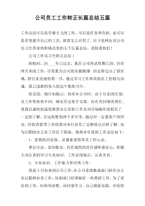 公司员工工作转正长篇总结五篇