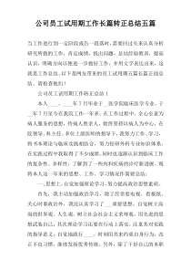 公司员工试用期工作长篇转正总结五篇