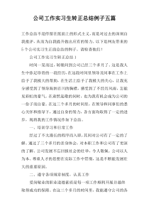 公司工作实习生转正总结例子五篇