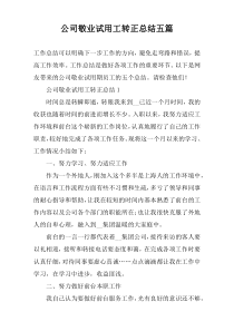 公司敬业试用工转正总结五篇