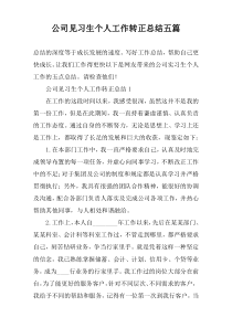 公司见习生个人工作转正总结五篇