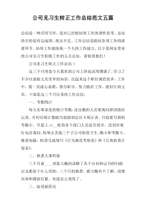 公司见习生转正工作总结范文五篇