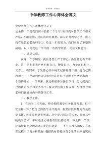 中学教师工作心得体会范文