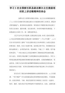 学习X在全国新任职县级巡察办主任提级培训班上讲话稿精神的体会