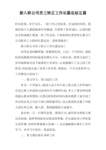 新入职公司员工转正工作长篇总结五篇