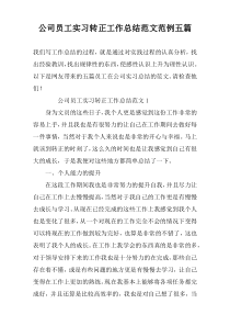 公司员工实习转正工作总结范文范例五篇